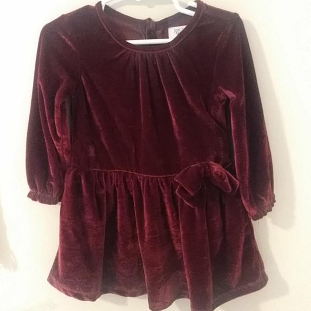 Carters burgandy velour dress